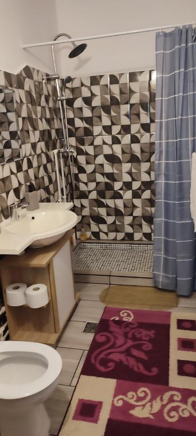 Casa Rebeca Hotel Orşova Екстериор снимка